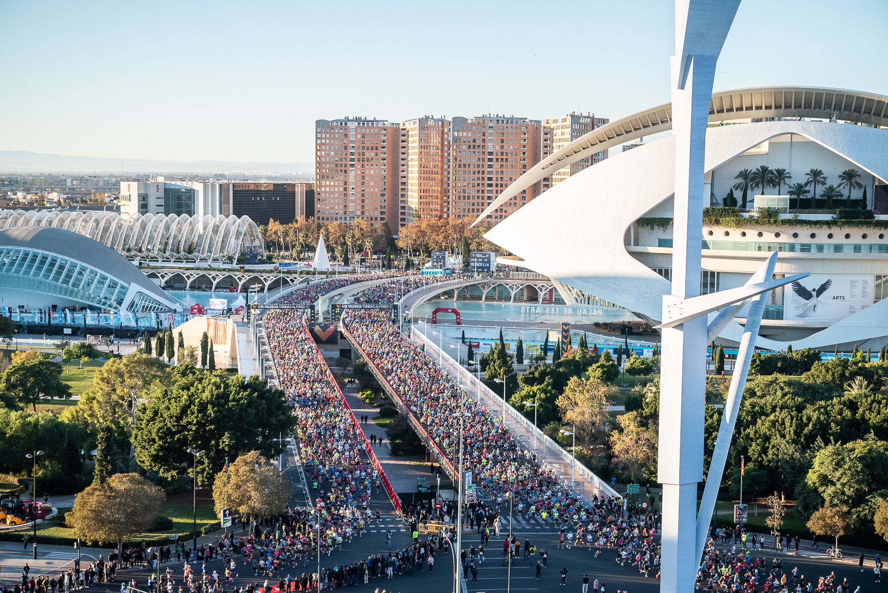 Le Marathon de Valence 2024 a été maintenue malgré les inondations meurtrières qui ont bouleversées la ville il y a quelques semaines.